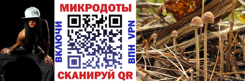Галлюциногенные грибы MAGIC MUSHROOMS  Городище 